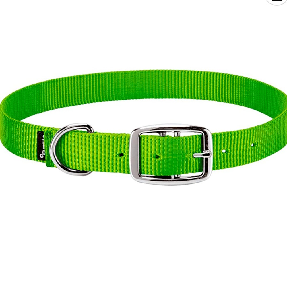 Goat Nylon Leather Collar—Weaver Livestock-Medium-Color-Lime Zest